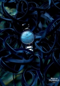 La collection Rado True Thinline Nature