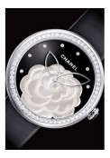 Mademoiselle Privé décor Camélia nacre blanche