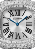 Coussin de Cartier
