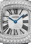 Coussin de Cartier