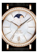 Portofino Midsize Automatic Moon Phase